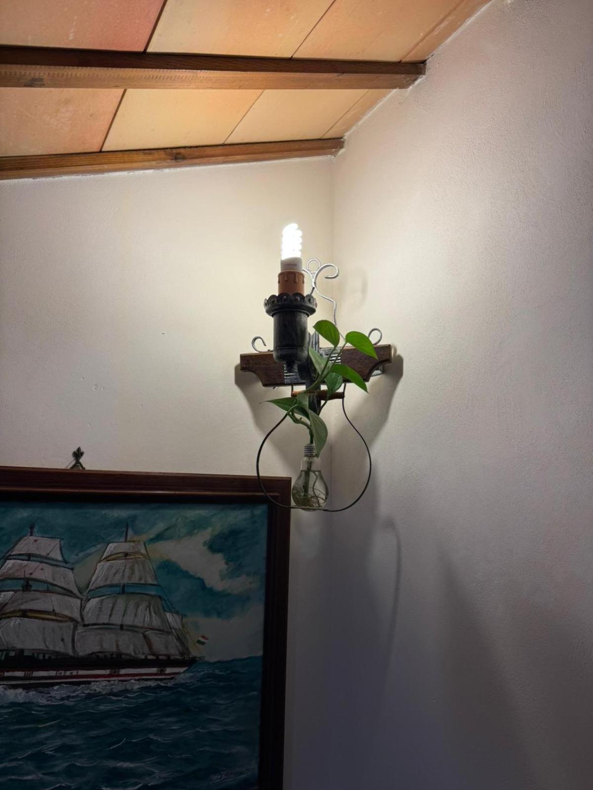 B&B Le Macine 1868 Paceco Exteriör bild